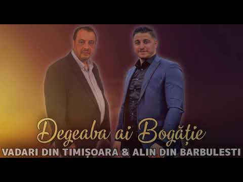 Vadari de la Timisoara Alin de la Barbulesti - degeaba ai bogatie