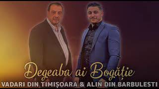 Download lagu Vadari de la Timisoara Alin de la Barbulesti - degeaba ai bogatie mp3