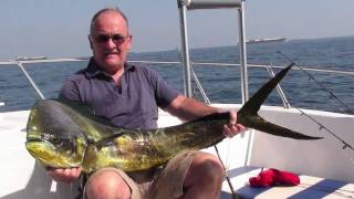 preview picture of video 'Gwyns Lost Bull Dorado mahi dolphin fish Fishing the Anchorage Fujairah UAE'