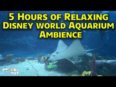 5 Hours of Relaxing Disney World Aquarium Ambience - The Seas at Epcot - Calming Stress Relief