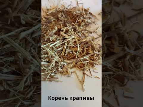 Крапива корень (1 кг) - фото 1 - id-p2371298460
