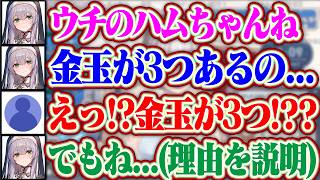 ノエルのハムちゃんの金玉が3つになっちゃった理由 + 27番くださいぺこ～が一生擦られるぺこらをちゃんと庇うノエル【ホロライブ/白銀ノエル/兎田ぺこら】