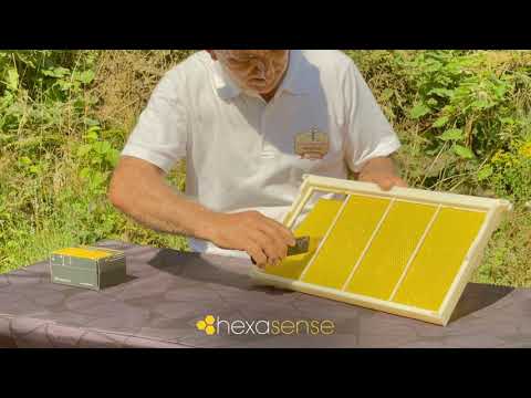 Akıllı Arıcılık | Hexasense Kurulumu Nasıl Yapılır?