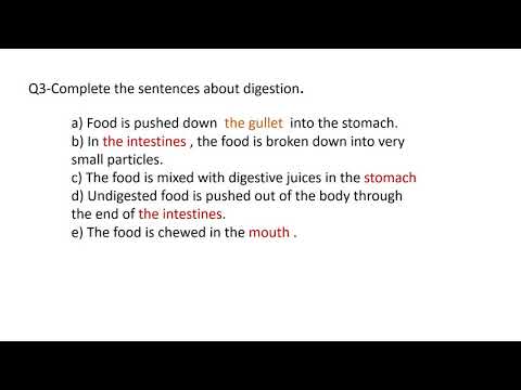 Cambridge Primary Science Stage 6 Chapter 1 Check Progress