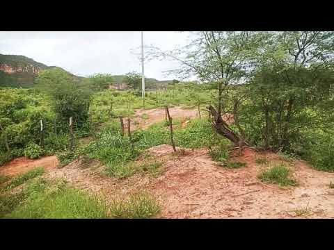 Deisponivel esta fazenda JR no bodocó PE 87981487746 #fazenda #chapadadoararipe #nordeste 