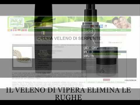 Dolori e mal di schiena nella regione delle pale Parte del monastero di tè con osteocondrosi