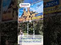 Видео превью