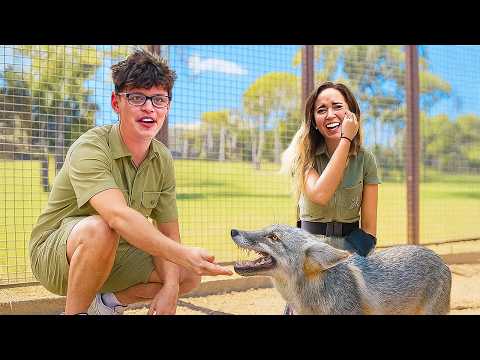 I Went To Alveus Sanctuary (ft. Maya)