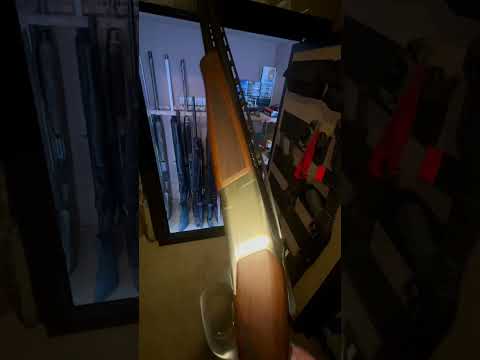 Ergonomics of Browning Cynergy