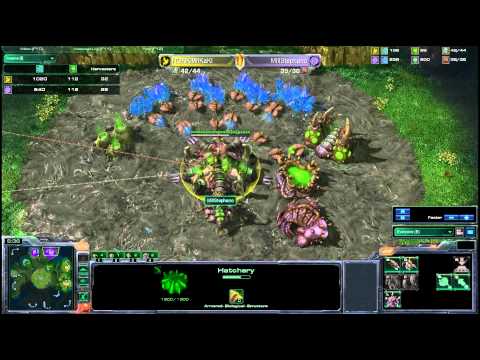 HD Starcraft 2 KiwiKaki v Stephano g2
