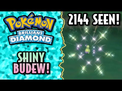 [LIVE] Eterna Forest Shiny Budew in Brilliant Diamond after 2144 Seen!