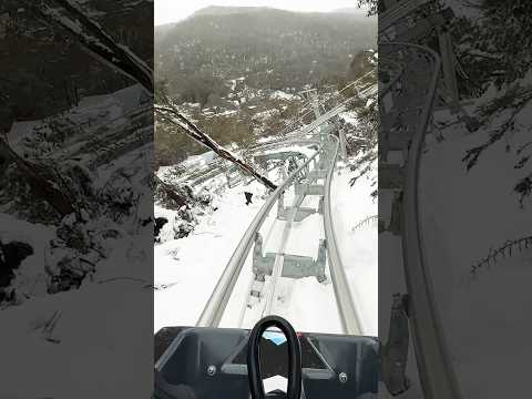 Alpine Coster ride at Threadbo, Snowy Mountains, Australia #amazing #scenery