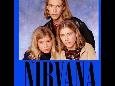 rewizja - a ty nie wiesz nic