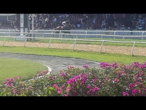 Barbados Gold Cup 2018