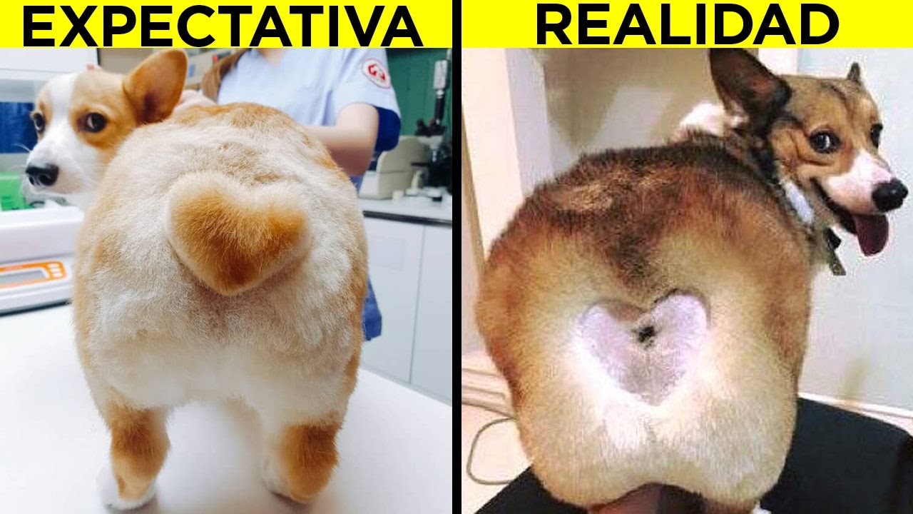 Planes Que No Salieron Como Se Esperaba - Parte 5