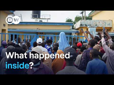 Nigeria investigates the death of 37 suspected illegal miners in custody | DW News