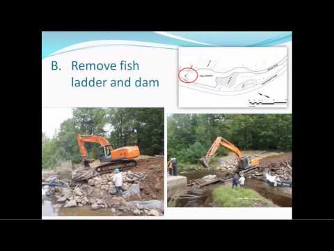 Levi Cliche (CARP) - Dam removal, restoration & monitoring