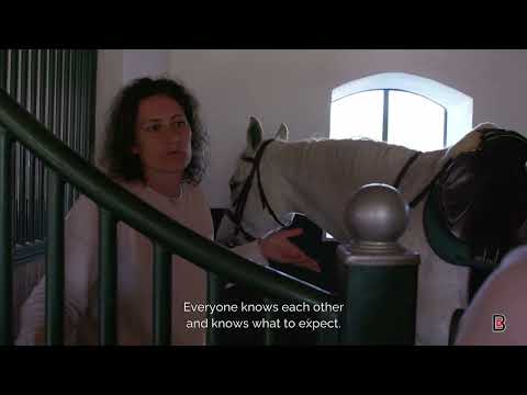 Saxon Villages of Transylvania - Alma Vii, Apos, Richis