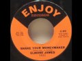 Elmore James - Shake Your Moneymaker.wmv ...