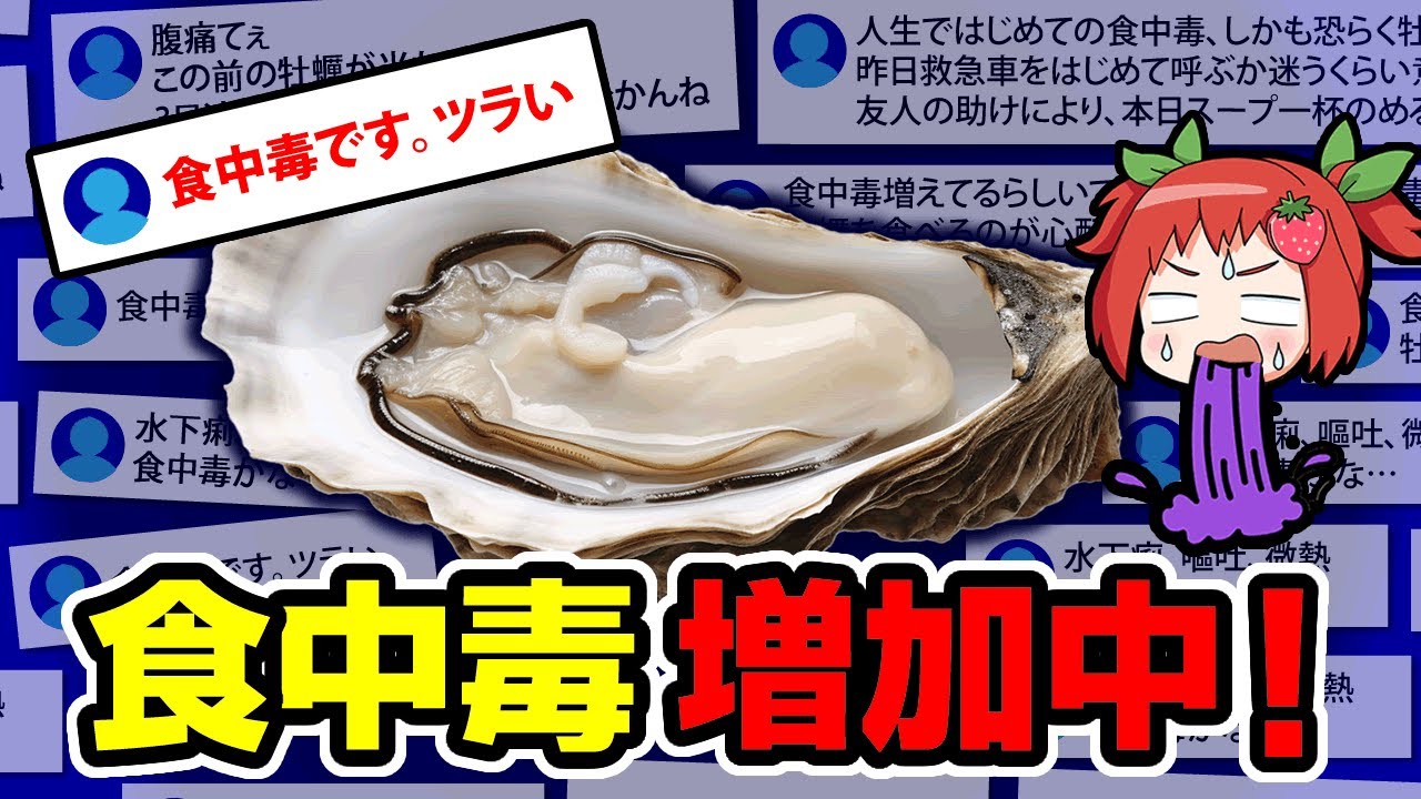【厳重注意】なぜ毎年、牡蠣に当たる人が減らないのか【ゆっくり解説】