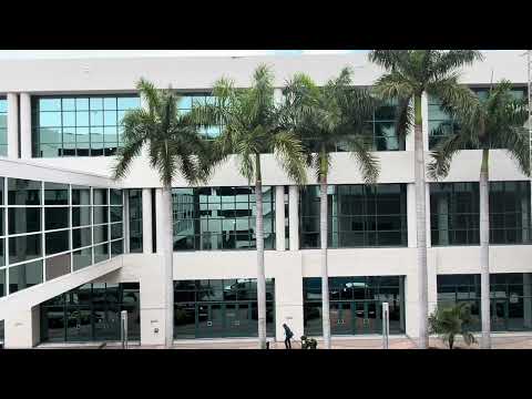 The Gorgeous Cuban Royal Palm, Roystonia Regina