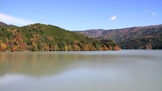 preview picture of video '静岡県　井川湖の紅葉　[HD] [地図あり]'