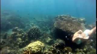 preview picture of video 'Snorkeling in Amed, Bali - GoPro Underwater'