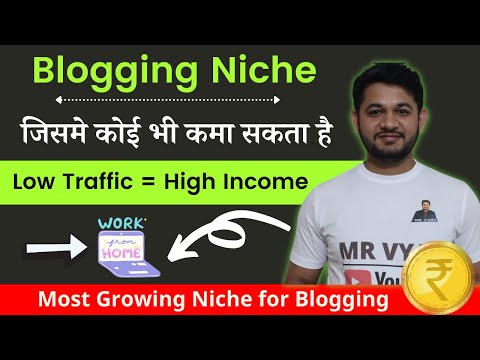 Best Niche for Beginner with Huge Money Making Potential for Beginnner | How to monetize the same.