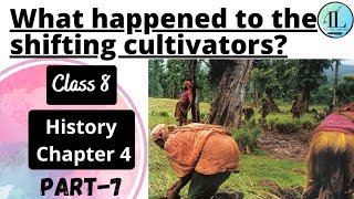 What happened to the shifting cultivators? |Class 8 History chapter 4 |Tribals, Dikus and the Vision