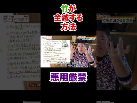 庭の小さな木立: 侵入しすぎた竹の根を取り除くにはどうすればよいですか?  庭園