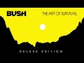 BUSH - 1000 YEARS FEAT. AMY LEE [Visualizer]