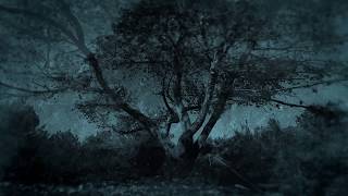 The Theater Equation Official Trailer