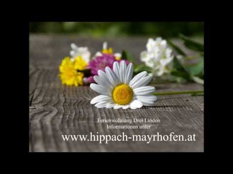 Ferienwohnung Zillertal Drei Linden