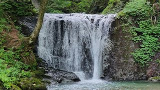 朝ごはん雑談配信🤗【今日滝行出来るかはどうかは分からないですが温泉に行ってきます🤗】