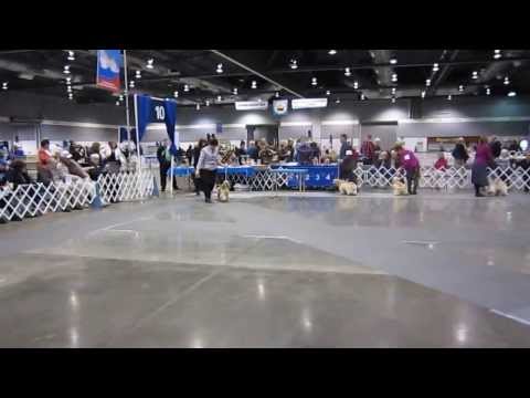 Melva Zellick's 6 to 9 Month Male Sweepstakes January 2014