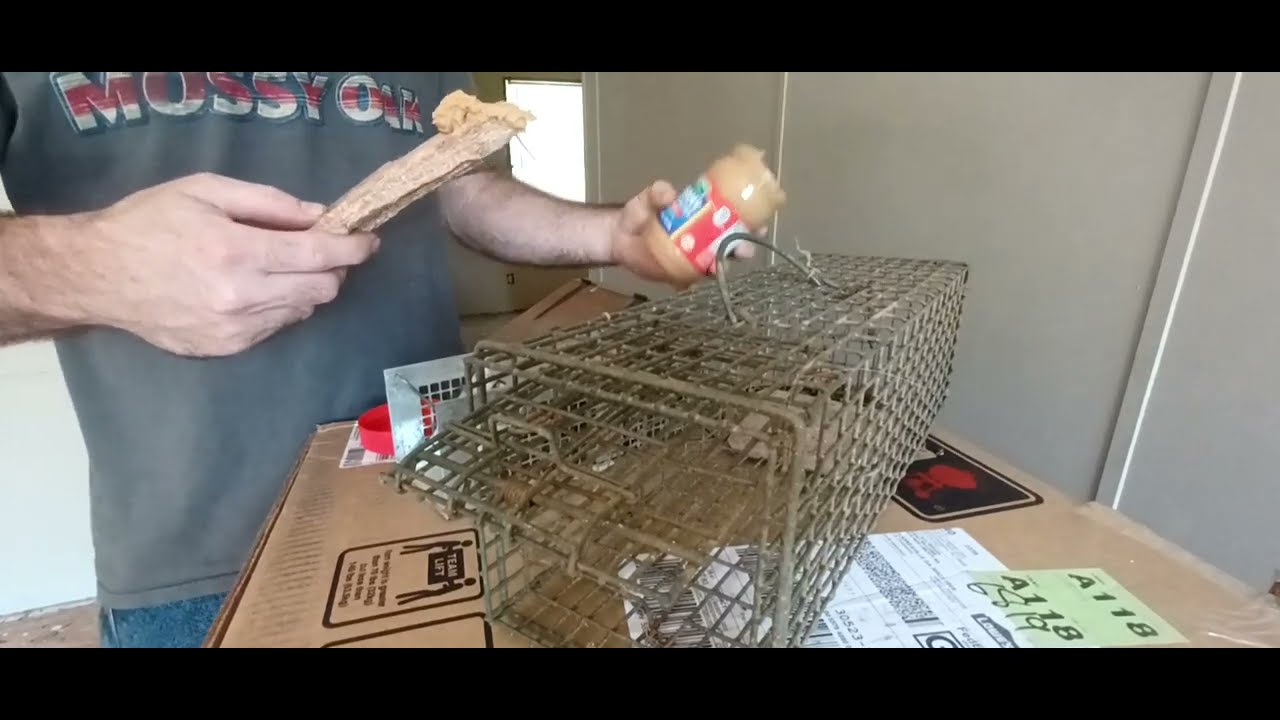 What happens when mice eat baking soda? Any Answer