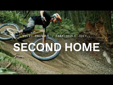 Cannondale Jekyll 29 Carbon 2