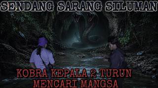 Download lagu SENDANG SILUMAN ULAR KEPALA DUA-KEKERINGAN SEBABKAN SILUMAN KELUAR DARI SARANGNYA mp3