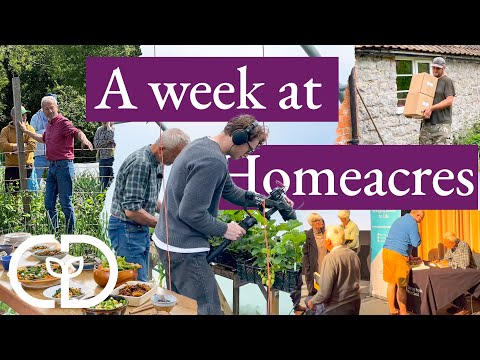 Behind the scenes in May, garden harvests| Last frost and plantings| Teaching| videos| Open day