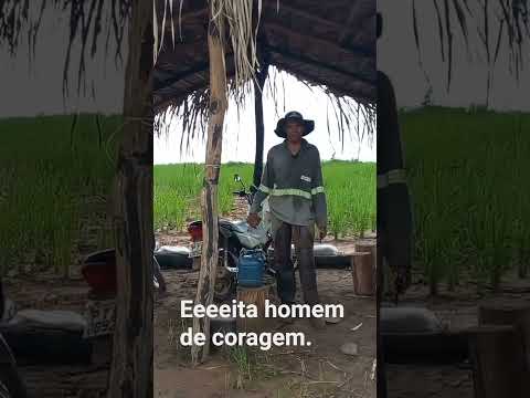 lavrador do Maranhão  na zona rural no município de São Domingos do Maranhão