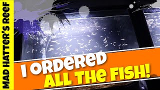 I ordered ALL The FISH They had!!!