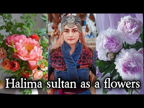Halima sultan as a flower🌺♥on request💐Esra bilgic💖🌸
