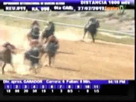 Resumen Lunes, 27 de Febrero de 2012 - Rancho Alegre