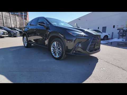 2023 Lexus NX 350h AWD in Black for sale at Ken Shaw Toyota in Toronto, ON