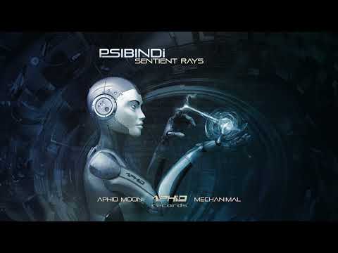 Mechanimal & Psibindi - Luminous Rays [Aphid Records]