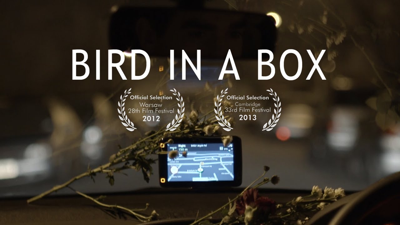 GPS comedy | Bird In A Box | short film rom-com | Brian d'Arcy James, Fiona Glascott