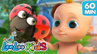 Skip to My Lou - S2EP84 Musical Adventure Collection - LooLoo Kids Songs for Kids