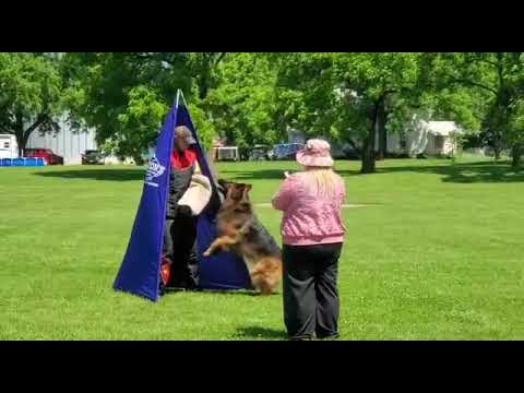 Jackdaw de Rossi IGP1 Protection - 90 Points