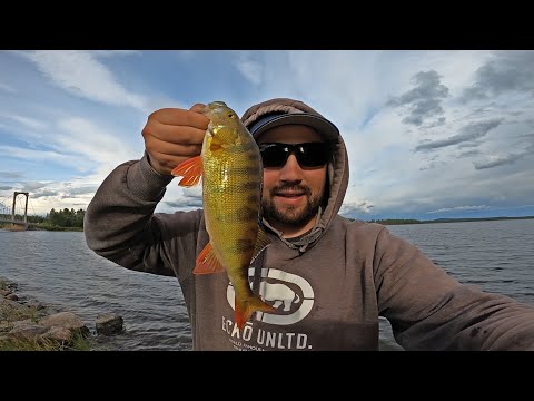 SIIKAA JA AHVENTA LAPISTA - SUOMUSTETAAN JA FILEOIDAAN KALAT - KALASTAJA KOKKAA - LAPIN REISSU OSA 1