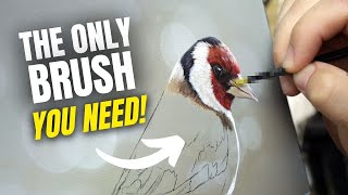 The BEST BRUSHES for Painting Realism (How To Paint Bird Feathers)